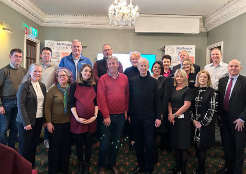 Sustainability Skills and Knowledge Sharing with Mullingar Chamber of Commerce